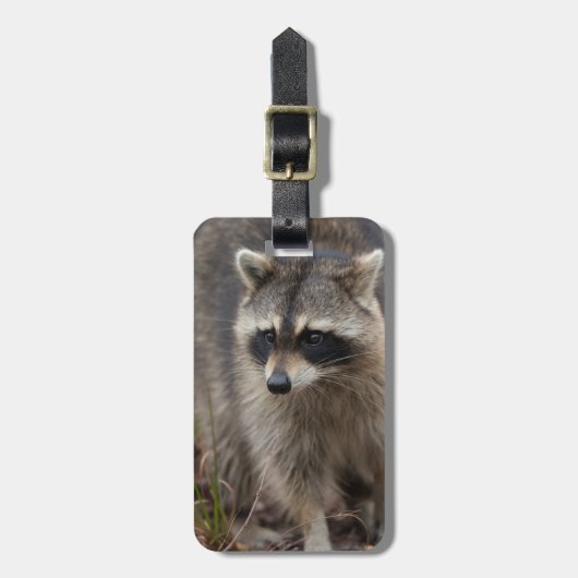 Wasbeer, Procyon lotor, Florida Bagagelabel (Voorkant verticaal)