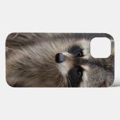 Wasbeer, Procyon lotor, Florida Case-Mate iPhone Case (Achterkant (horizontaal))