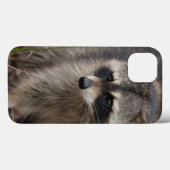 Wasbeer, Procyon lotor, Florida Case-Mate iPhone Case (Achterkant (horizontaal))