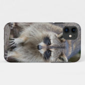 Wasbeer, Procyon lotor, Florida, USA 2 Case-Mate iPhone Case (Achterkant (horizontaal))