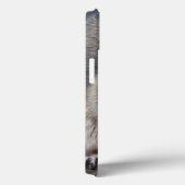 Wasbeer, Procyon lotor, Florida, USA 2 Case-Mate iPhone Case (Achterkant / Rechts)