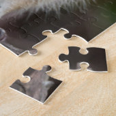 Wasbeer, Procyon lotor, Florida, USA 2 Legpuzzel (Zijkant)