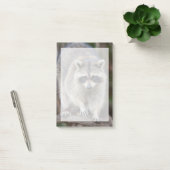 Wasbeer, Procyon lotor, Florida, USA 2 Post-it® Notes (Kantoor)
