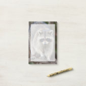 Wasbeer, Procyon lotor, Florida, USA 2 Post-it® Notes (Op bureau)