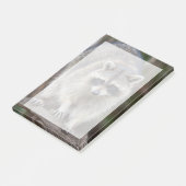 Wasbeer, Procyon lotor, Florida, USA 2 Post-it® Notes (Schuin)