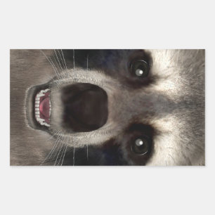 Wasbeer Rechthoekige Sticker