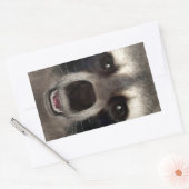 Wasbeer Rechthoekige Sticker (Envelop)