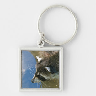 Wasbeer Sleutelhanger