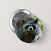 Wasbeer Speld Ronde Button 5,7 Cm (Voorkant /achterkant)