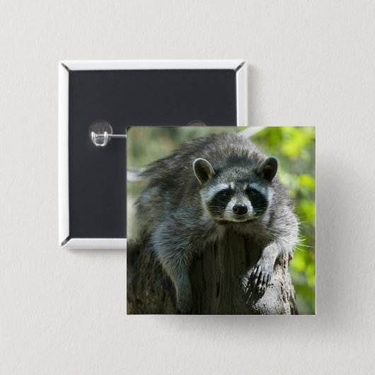 wasbeer spelden vierkante button 5,1 cm (Voorkant /achterkant)