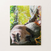 Wasbeer Stanley Park Vancouver. Legpuzzel (Verticaal)