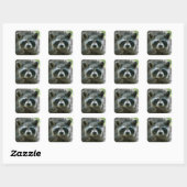 Wasbeer Stickers (Vel)