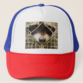 WASBEER TRUCKER HOED PET