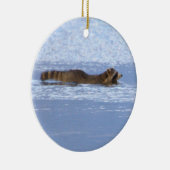 Wasbeer zwem foto ornament  (Rechts)
