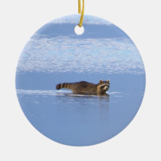 Wasbeer Zwem Foto Ornament  (Voorkant)