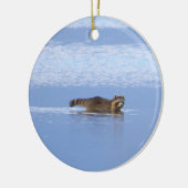 Wasbeer Zwem Foto Ornament  (Links)