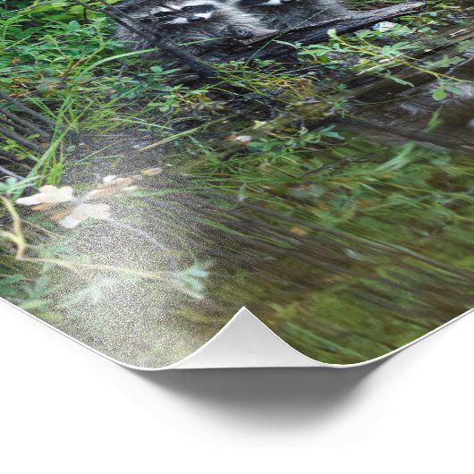 Wasbeerreflecties Foto Afdruk (Hoek)