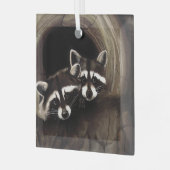 Wasberen Bruine Schattigee Boom Glas Ornament (Voorkant links)