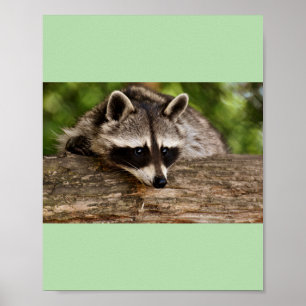 wasberen poster
