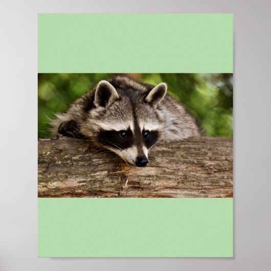 wasberen poster (Voorkant)