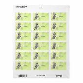 Waschbär mit Schaf Aufkleber Etiket (Full Sheet)