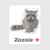 Waschbär sticker (Vel)