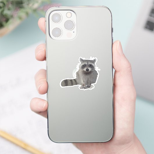 Waschbär sticker (Telefoon)
