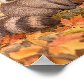 Waschbär und Fuchs im Herbstwald – Poster (Hoek)