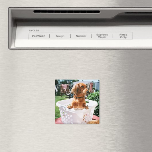 Wasdag Magneet (Insitu (Vaatwasser))