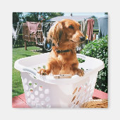 Wasdag Magneet (Voorkant)