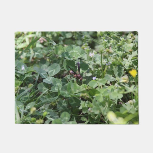 Wasdeklep Deurmat (Voorkant)