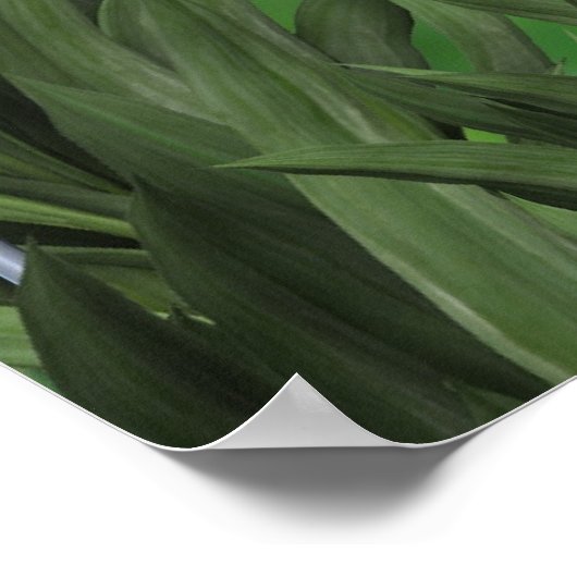 Wasgoed Poster (Hoek)