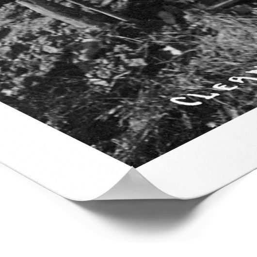 Wasgoud in Alaska 1916 Poster (Hoek)