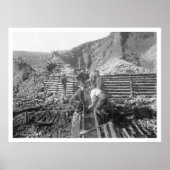 Wasgoud in Alaska 1916 Poster (Voorkant)