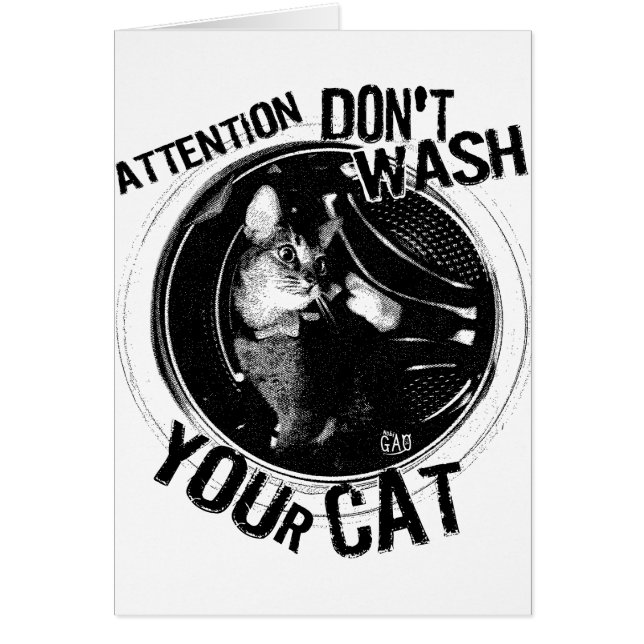 washcat (Voorkant)
