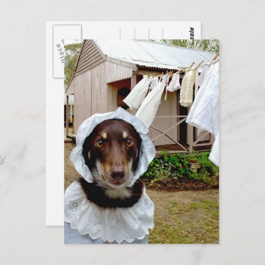 Washerder Briefkaart (Voorkant / Achterkant)