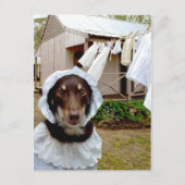 Washerder Briefkaart (Voorkant)