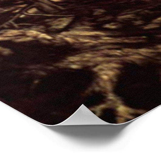 Washington Allston Elijah Fed van de Ravens Poster (Hoek)