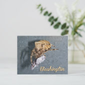Washington ansichtkaart, Gea Spider Briefkaart (Staand voorkant)