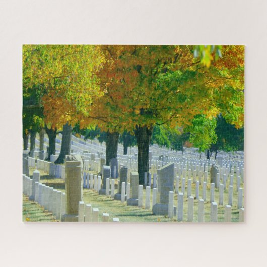 Washington Arlington Cemetery Legpuzzel (Horizontaal)
