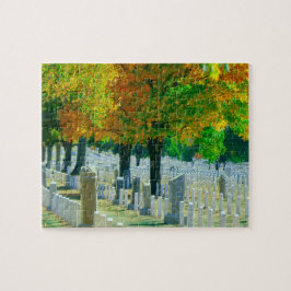 Washington Arlington Cemetery Legpuzzel