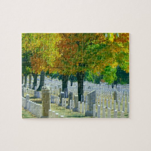 Washington Arlington Cemetery Legpuzzel (Horizontaal)