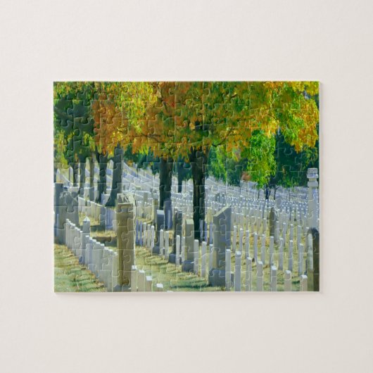 Washington Arlington Cemetery Legpuzzel (Horizontaal)