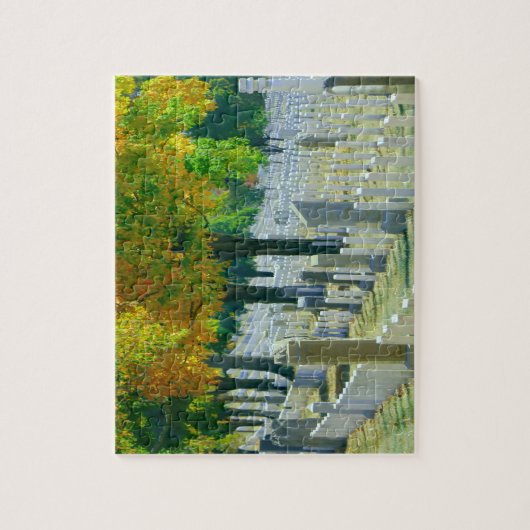 Washington Arlington Cemetery Legpuzzel (Verticaal)