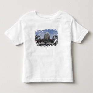 Washington, Arlington Fly-in, luchtspektakel. Kinder Shirts