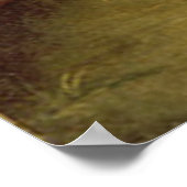 Washington at Princeton, 1779 / by Charles Peale Poster (Hoek)