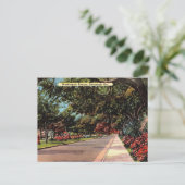 Washington Avenue Savannah GA historisch Briefkaart (Staand voorkant)