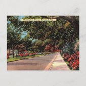 Washington Avenue Savannah GA historisch Briefkaart (Voorkant)