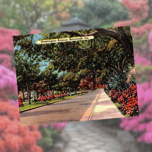 Washington Avenue Savannah GA historisch Briefkaart
