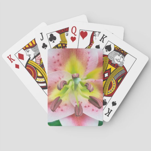 Washington, Bellevue, Lily Pokerkaarten (Achterkant)